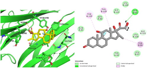 Figure 8. Docked pose of Dexa in the active site of TNF-α (3D left panel and 2D right panel).