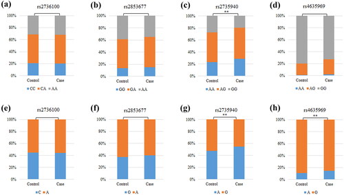 Figure 1. Comparisons of the genotype frequency and allele frequency of SNPs in the TERT gene between the CKD case and healthy control groups. (a–d) Comparisons of the genotype frequencies of rs2736100, rs2853677, rs2735940, and rs4635969. (e–h) Comparisons of the allele frequencies of rs2736100, rs2853677, rs2735940, and rs4635969. ‘*’ indicates statistical significance at the 0.05 level.