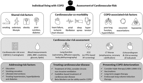 Figure 2. Cardiovascular risk assessment in COPD.