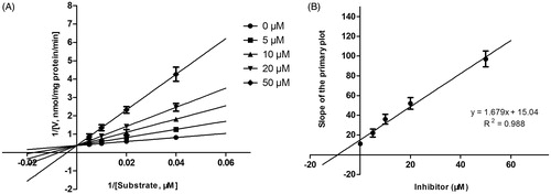 Figure 5. Lineweaver–Burk plots (A) and the secondary plot for Ki (B) of inhibition of DHM on CYP2E1 catalyzed reactions (chlorzoxazone 6-hydroxylation) in pooled HLM. Data are obtained from a 30 min incubation with chlorzoxazone (20–200 μM) in the absence or presence of DHM (0–50 μM). All data represent the mean of the incubations (performed in triplicate).