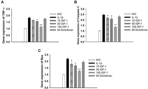 Figure 3 Effects of IGF-1 on IL-1β stimulated apoptosis in monolayer Chondrocytes in gene level of (A) TNF-α, (B) Caspase 3 and (C) Bax gene expression in vitro. Values are the mean ± SD. *p < 0.05, and **p < 0.01.