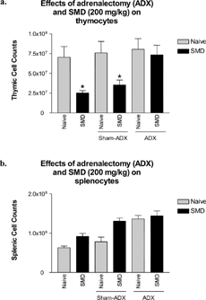 FIG. 3 SMD did not cause thymic atrophy in adrenalectomized mice. Adrenalectomized mice were administered SMD (200 mg/kg) orally at 9:00 PM on day 1 only. On day 3, thymi and spleens were removed and analyzed for alterations in cellularity. Corticosterone levels were analyzed for all samples. Two samples (each from a different group) were omitted due to the presence of serum corticosterone, indicative of adrenal regeneration. N = 5 mice per group. Asterisks (*) indicate significant difference from naïve control (p < 0.05).
