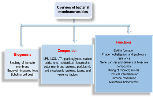 Figure 2. Overview of bacterial membrane vesicles.