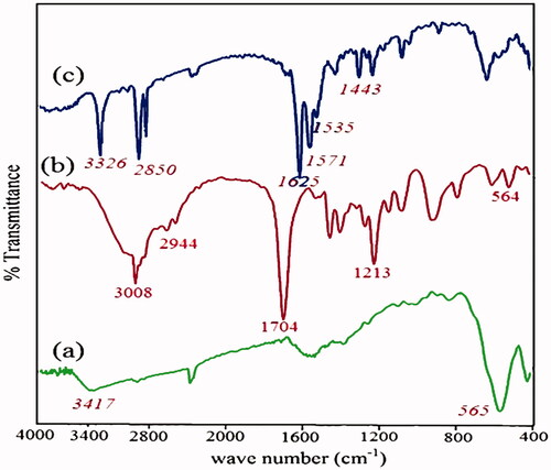 Figure 2. FT-IR spectra of (a) Fe3O4 nanoparticles (b) Br-MPA and (c) Fe3O4/Br-MPA.