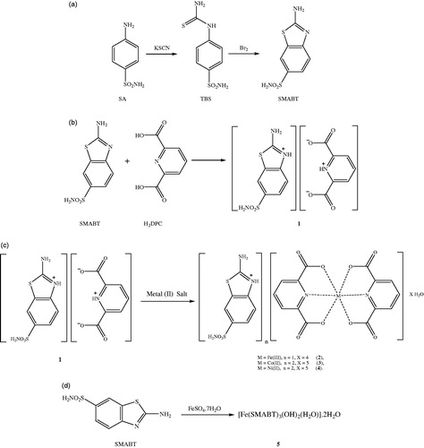 Figure 1. Syntheses of all compounds (a for SMABT and b for 1 and c for 2–4 and d for 5).