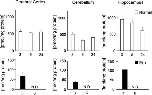 Figure 1. Measurement of vitamin E contents in cerebral cortex, cerebellum, and hippocampus. White column shows normal mice (3 month, n = 4; 6 month n = 4; 24 month n = 3) and black column shows vitamin E-deficient (E(‐), 3 month, n = 4; 6 month, n = 4). Details of sample preparation and experimental conditions are described in the Materials and methods.