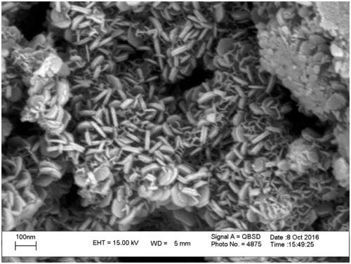 Figure 1. Scanning electron micrograph of Zn/Al-LDH nanoparticles that layered structure of Zn/Al-LDH nanoparticles was obvious.