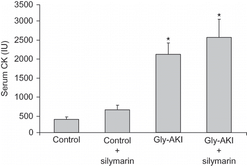 FIGURE 1. Serum creatinine phosphokinase (CK) level 6 h after glycerol injection. There was a significant increase in serum CK after glycerol injection. Silymarin administration had no significant influence on CK rise, which excludes any interference in the glycerol-induced rhabdomyolysis. n = 6 rats/group.