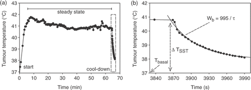 Figure 2. (a) Example of the estimation of effective perfusion from tumour temperature measurements during the 2-min cool-down period following the 60-min steady-state period. (b) The temperature decrease during the cool-down period was fitted with an exponential decay (Equation 5), from which the effective perfusion was determined according to Equation 7.