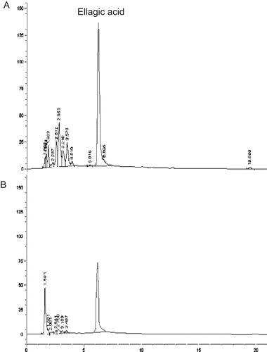 Figure 1.  HPLC-chromatograms of the solution of ellagic acid-rich pomegranate extract (pH 8) at the initial time (A) and after keeping for 10 weeks (B).