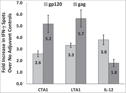 Figure 6. CTA1 and LTA1 preferentially enhance cellular responses to gag over gp120: The results from 9 independent mouse studies for CTA1, 6 independent studies for LTA1 and 9 independent studies for IL-12 were compared. Each study had groups of 5 BALB/c mice immunized i.m. on days 0 and 14 or days 0 and 21 with 25 μg of pSIV-gag and 15 μg of pHIV-gp120 plus either 25 μg of empty plasmid, pLTA1 or pIL-12. Day 28 or day 35 splenocytes were stimulated with SIVmac239gag or HIV-BaLgp120 peptide pools for IFN-γ ELISpot assays. For each study, the average gp120 and gag-specific IFN-γ ELISpot responses were determined for the no adjuvant groups and the CTA1, LTA1 or IL-12 adjuvanted groups. Within each study, the average fold increases for the gp120 (light gray bars) and gag (dark gray bars)-specific ELISpot responses were calculated by dividing the mean gp120 and gag-specific ELISpot responses from the adjuvanted groups by the corresponding mean gp120 and gag-specific ELISpot responses from the unadjuvanted groups. The error bars represent the standard errors of the means. The P values (provided in the text) were calculated with a Students T test using SigmaPlot v12 software.