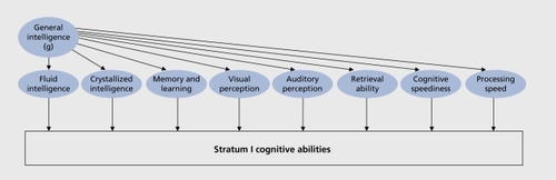 Figure 2. Schematic representation of the three stratum taxonomy of intelligence