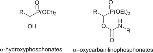 Scheme 1. Structure of 1-hydroxyphosphonates and α-oxycarbanilinophosphonate.