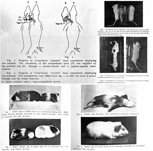 Figure 7 Animal experiments published in the CJP. Clockwise from top left: vivisection (Chang et al. Citation1937), pharmacology (Wang and Lu Citation1933), and nutrition experiments (Ni Citation1936).
