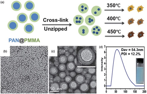 Figure 8. (a) Diagram of the synthesis of CQDs unzipped from PAN@PMMA core–shell nanoparticles. Numerous n-CQDs were unzipped from one polymeric nanoparticle and exhibited diverse PL behaviours at different pyrolysis temperatures. (b, c) TEM images of the PAN@PMMA core–shell nanoparticles. Scale bars are 200 nm (b) and 50 nm (c), respectively. (d) DLS curve of the PAN@PMMA core–shell nanoparticles; the inset exhibits a photograph of a PAN@PMMA microemulsion. (Reprinted from Ref. [Citation49] with permission from The Royal Society of Chemistry).