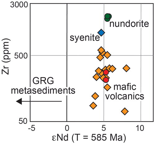 Figure 9. εNd vs bulk rock Zr concentration on nundorite and rocks of the Mount Arrowsmith Volcanics (MAV). Note the similar εNd of nundorite and the MAV rocks. Circles are data from this study, and diamonds are data from Crawford et al. (Citation1997), Zhou and Whitford (Citation1994), and Greenfield et al. (Citation2011). Symbol size is larger than measurement uncertainties.