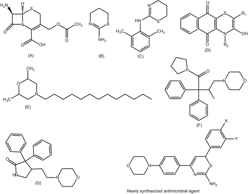 Scheme 1.  Novel synthesized compounds having core thiazine and morpholine nuclei of therapeutic importance.