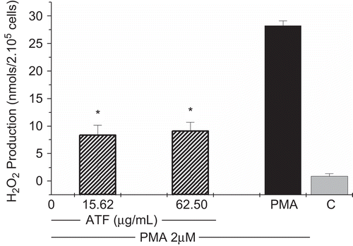 Figure 2.  Effects of A. triplinervia ethyl acetate fraction (AtF) on H2O2 production in peritoneal macrophages. PEC at 2 × 106cells/mL was used and complete buffer was added to the adherent cells. The cells were exposed to the fraction and PMA 0.2 μM. Cells incubated only with PMA were used as a positive control and cells in complete buffer as a negative control (C). Results are the means ± SD of five separate experiments. One-way ANOVA with Dunnett’s post test was performed. *p <0.01 versus PMA control.