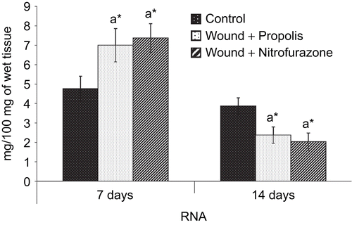 Figure 6.  Effect of Indian propolis on the level of RNA in excision wound model. Values are mean ± SEM; n = 6 in each group. * Significant at p < 0.05 is compared with the control group of rats.