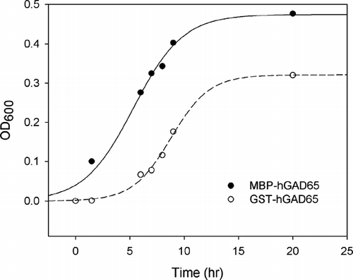 Figure 3 Growth curves of E. coli. containing either MBP-hGAD65 or GST-hGAD65 fusion proteins, expressed as the absorbance at 600 nm.