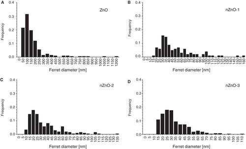 Figure 2. Frequency distribution of particle sizes (ferret diameter) derived from TEM micrographs of the pristine ZnO particles.