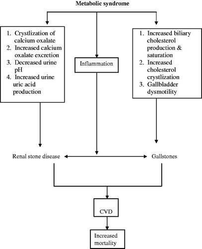 Figure 1. The complex relationship between metabolic syndrome, renal stone disease and gallstones diseases. How the liver communicates with kidney in individuals with renal stone disease and gallstone disease is not well known. The presence of renal stone disease or gallstone per se should lead to an additional evaluation of modifiable metabolic risk factor that leads to an increase in the risk of CVD GD.