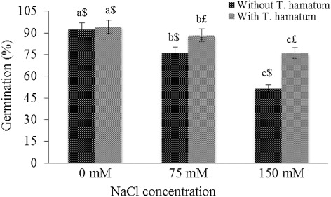 Figure 2. Effect of different salt concentrations on seed germination in O. baccatus. Data presented are the means ± SE (n = 5). Different letters indicate significant difference (P < 0.05) among the treatments. Symbols $ and £ denote significant change between with and without T. hamatum within the same treatment.