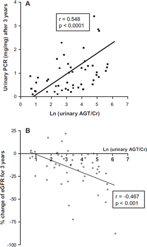 Figure 4. Urinary AGT excretion was positively correlated with urinary PCR 3 years later and negatively correlated with % change of eGFR for 3 years. A: Urinary PCR measured after 3 years of follow-up was positively correlated with ln (urinary AGT/Cr) (n = 52). B: Ln (urinary AGT/Cr) correlated negatively with percent change of eGFR for 3 years (n = 52).