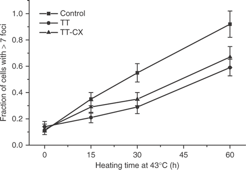 Figure 4. Attenuation of the γ-H2AX response in cells recovering from a thermotolerance induction protocol in the absence or presence of cycloheximide in HA-1 cells. The fraction of cells positive for γ-H2AX foci was determined in control cells (▪), cells heated at 43°C for 30 min and allowed to recover for 12 h (•) and cells recovering from a 43°C heating for 30 min in the presence of 100 μM cycloheximide for 6 h (▴).
