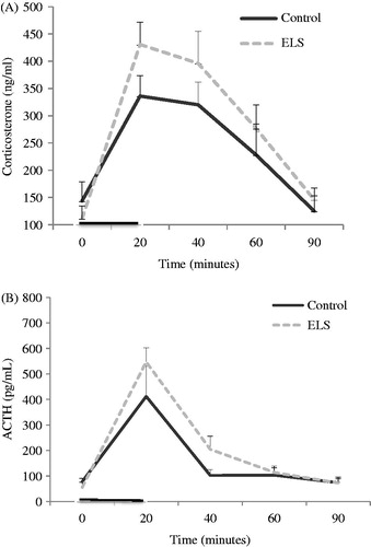 Figure 3. HPA response to acute stress. The dark line on the x-axis represents time of exposure to restraint stress. Data are expressed as mean ± SEM. (A) Analysis of corticosterone secretion in control (n = 8) and ELS (n = 8) females revealed an interaction between time and group, indicating that ELS females increased secretion in response to stress (p = 0.02), and an isolated effect of time (p < 0.0001). (B) Analysis of ACTH secretion in the same samples had no group effect (p = 0.467) and no interaction between time and group (p = 0.282), only an isolated effect of time (p < 0.0001).