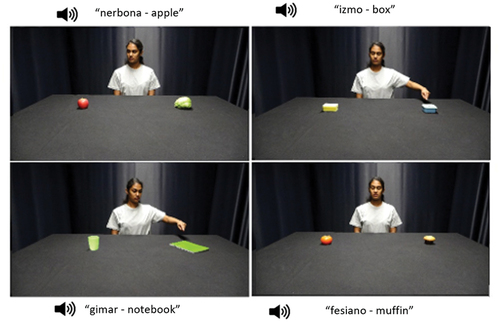 Figure 3. Images in four modified conditions for Experiment 2: gaze only, pointing only, gaze + pointing, and no cue.
