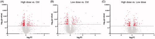 Figure 6. Volcano plots of all detected and quantified proteins. Plots illustrate the overall pattern of protein expression and their relative abundances in high dose versus Ctrl (A), low dose versus Ctrl (B) or high dose versus low dose (C). The horizontal dotted line in each plot represents p < 0.05. The red dots mark the significantly altered proteins.