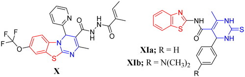 Figure 3. Examples of some benzothiazole derivatives (X and XIa–b) incorporating pyrimidine moiety as potent anti-mycobacterial agents.