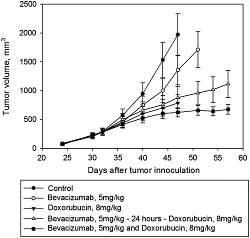 Figure 4. Tumor growth curves showing delayed tumor growth in the group with simultaneous administration of bevacizumab and doxorubicin compared to the group with a delayed administration of doxorubicin.