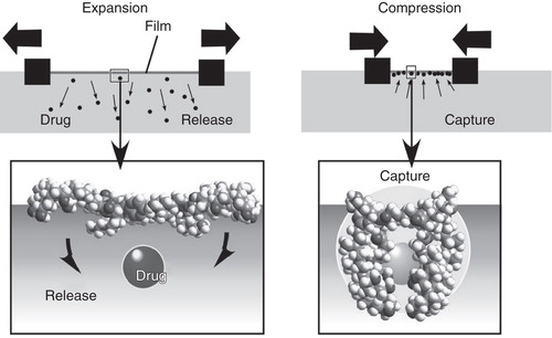 Figure 1. Mechanical control of drug capture and release from molecular machines embedded at the air–water interface.