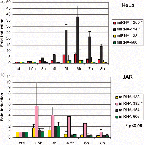 Figure 6. Effects of fever range hyperthermia on selected microRNA. Expression levels of eight microRNAs previously identified to be thermally regulated (see text) were analysed by RT-qPCR. (a) miR-125 b and miR-154 were found to be thermally up-regulated in HeLa cells. (b) In JAR, miR-382 was found to be enhanced by thermal stress.