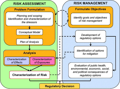 Figure 1. Diagrammatic representation of the processes of risk assessment and its relationship to risk management. Communication between the assessors and managers (dashed arrows) and the iterative nature of the process is also illustrated (modified from USEPA Citation1992).