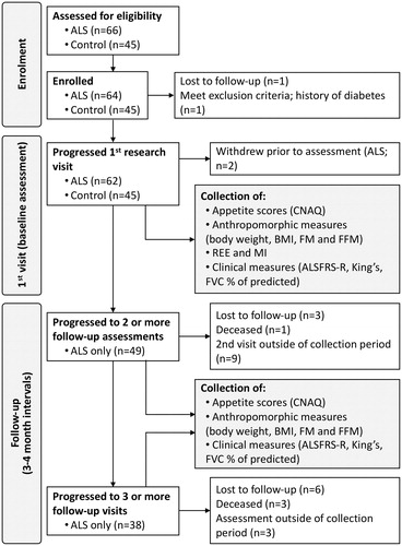 Figure 1 Schematic summarizing participant involvement during enrollment, participation, and data collection at follow-up. ALS: amyotrophic lateral sclerosis; , ALSFRS-R: ALS functional rating scores-revised; CNAQ: Council of Nutrition Appetite Questionnaire; BMI: body mass index; FM: fat mass; FFM: fat free mass; FVC: forced vital capacity as % of predicted; REE: resting energy expenditure.