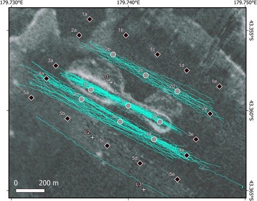 Figure 2. Butterknife feature showing location of directly disturbed sites (DI; grey filled circles), undisturbed or indirectly disturbed sites (UI; black diamonds), trajectory of Sediment Cloud Inducing Plow (SCIP) when in contact on the seabed (light blue) and location of the three landers (white crosses; L1-L3). Multibeam echosounder backscatter background shows areas of high and low reflectivity (white and dark grey shading, respectively).