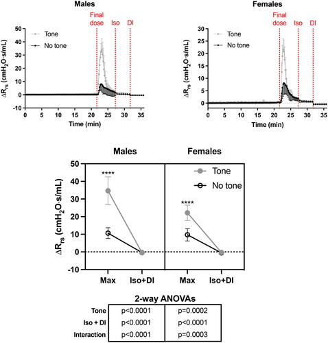 Figure 4. The effect of tone on the methacholine-induced changes in respiratory system resistance relative to baseline (ΔRrs). The upper left and right graphs demonstrate the actual changes in Rrs throughout the whole protocol in both males and females, respectively. Note that the scale on the y-axis is smaller in females than males. The three vertical red dotted lines from left to right indicate when: 1- the last i.v. dose of methacholine was administered; 2- the nebulized dose of isoproterenol (Iso) was administered; and 3- the deep inspiration (DI) was imposed. In the bottom graph, the max Rrs after the final dose (i.e., peak response), as well as the minimal Rrs after Iso and the DI, are compared between challenges with and without tone in each sex. Results of two-way ANOVAs are shown below the graph, which were used to evaluate the effect of tone, the combined effect of Iso and the DI, and their interaction within each sex. Asterisks are from post hoc analyses, showing significant differences between challenges with and without tone for the max response (**** is p < 0.0001). Data are means + or - SD for a n = 6.