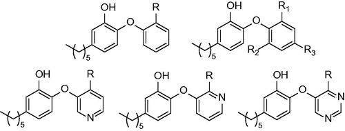 Figure 7. General structures of compounds published by Pan and Tonge and colleagues in 2014; R: NO2, NH2, CH3, Cl, Br, CF3, I, F, OH and CN.