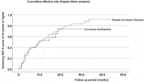 Figure 3. Cumulative rate of microvascular penile revascularization efficacy.