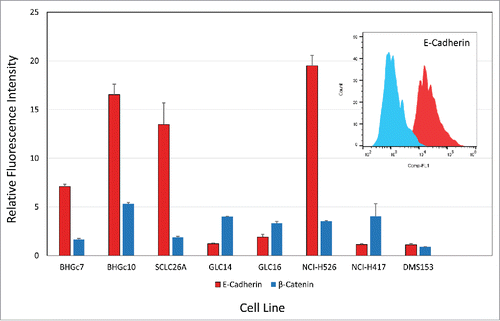 Figure 3. Flow cytometric analysis of E-cadherin and β-catenin expression. CTCs and cell lines were stained in indirect immunofluorescence for E-cadherin and β-catenin and values are presented as ratios of specific fluorescence signals with antibody to isotype controls (mean values of fluorescence maxima ± SD).
