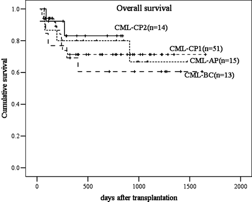 Figure 2.  Comparison of overall survival in four groups of patients defined according to the stage of disease (chronic phase (CP) 1, CP2, acute phase (AP), blast crisis (BC)). The best is patients transplanted in CP2, then patients in CP1, AP, and BC. No significant differences were found in our transplant protocol.