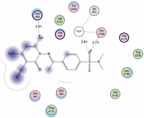 Figure 5. 2D ligand interaction of sulfonamide derivative 11 with active site amino acids of CA IX.