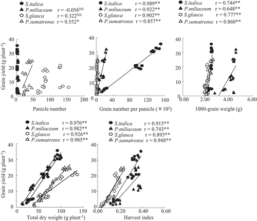 Figure 1. Relationships between grain yield and yield components in four millet species.** and * indicate significant correlations at 1 and 5%, respectively. NS, no significant correlation.