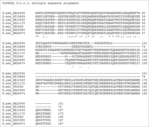 Figure 2. CLUSTAL Omega Alignment of Tpl94D sequence matches CLUSTAL Omega alignment of the best Tpl94D sequence matches in the sequenced 12 Drosophila species.