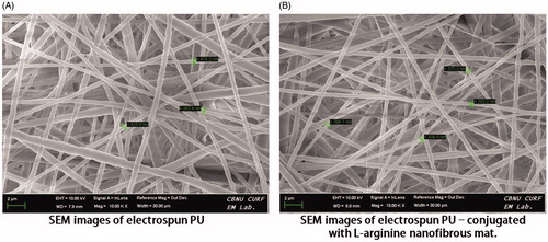 Figure 1. Scanning electron microscopy images of electrospun (A) PU and (B) PU-drug nanofibrous mats.