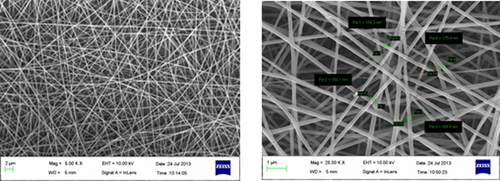 Figure 3. SEM images of drug-loaded nanofibrous mat.