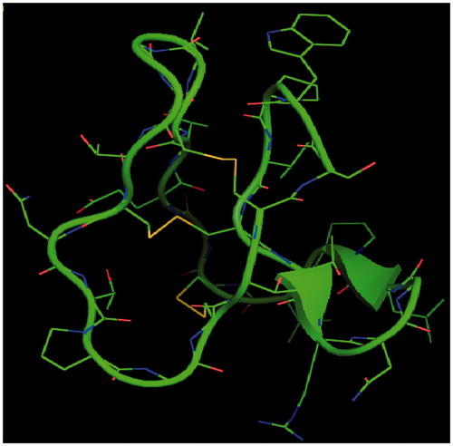 Figure 1. Pymol generated view of the uterotonic polypeptide kalata B1structure characterized by three disulphide bonds.